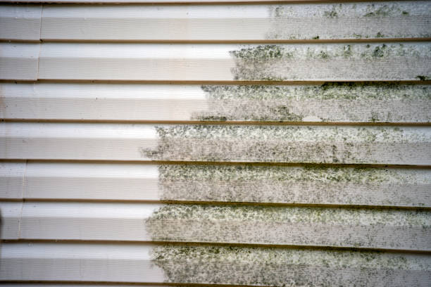 Best Shed Removal  in Jeffersonville, IN